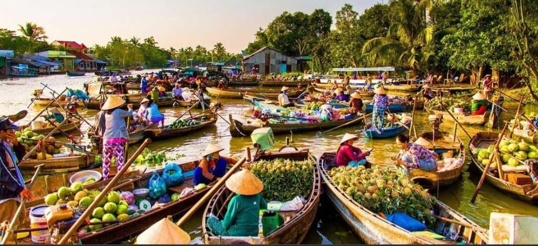 mekong delta tour