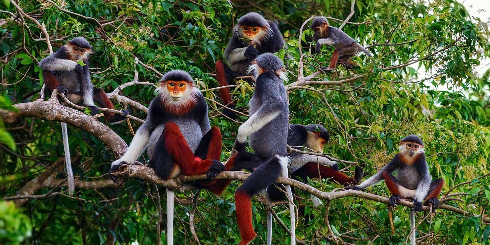 sustainable tourism Vietnam
