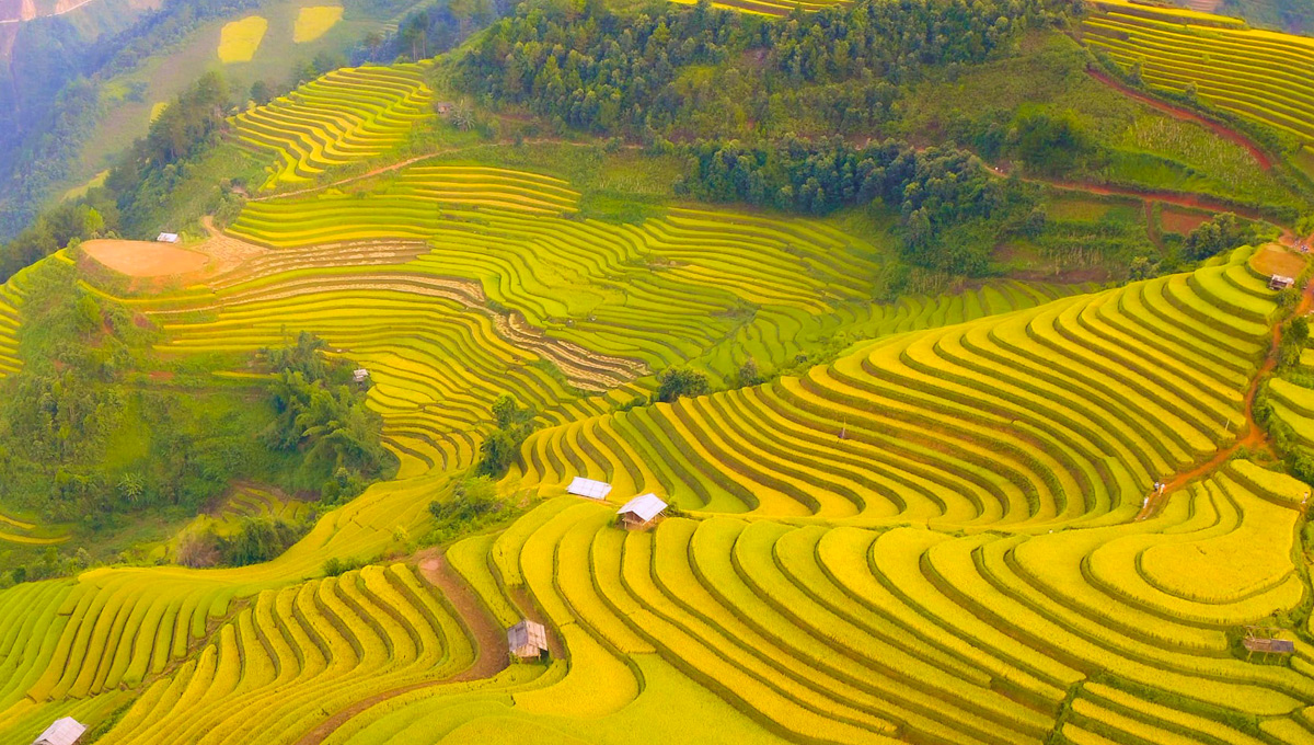 Vietnam autumn travel Mu Cang Chai