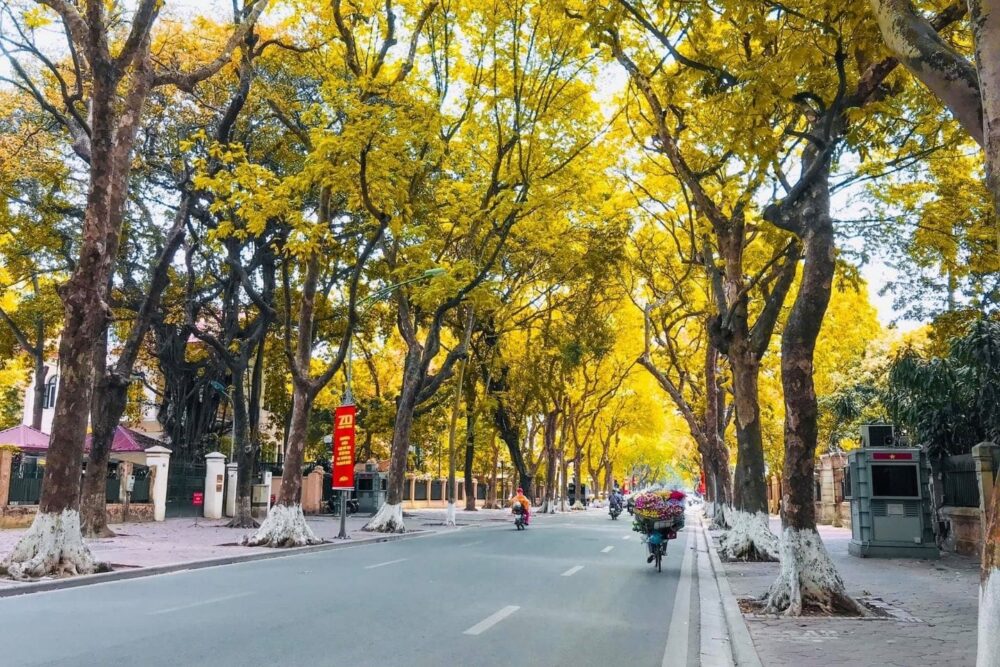 mua-thu-ha-noi-thumb_1685027028 Vietnam autumn travel