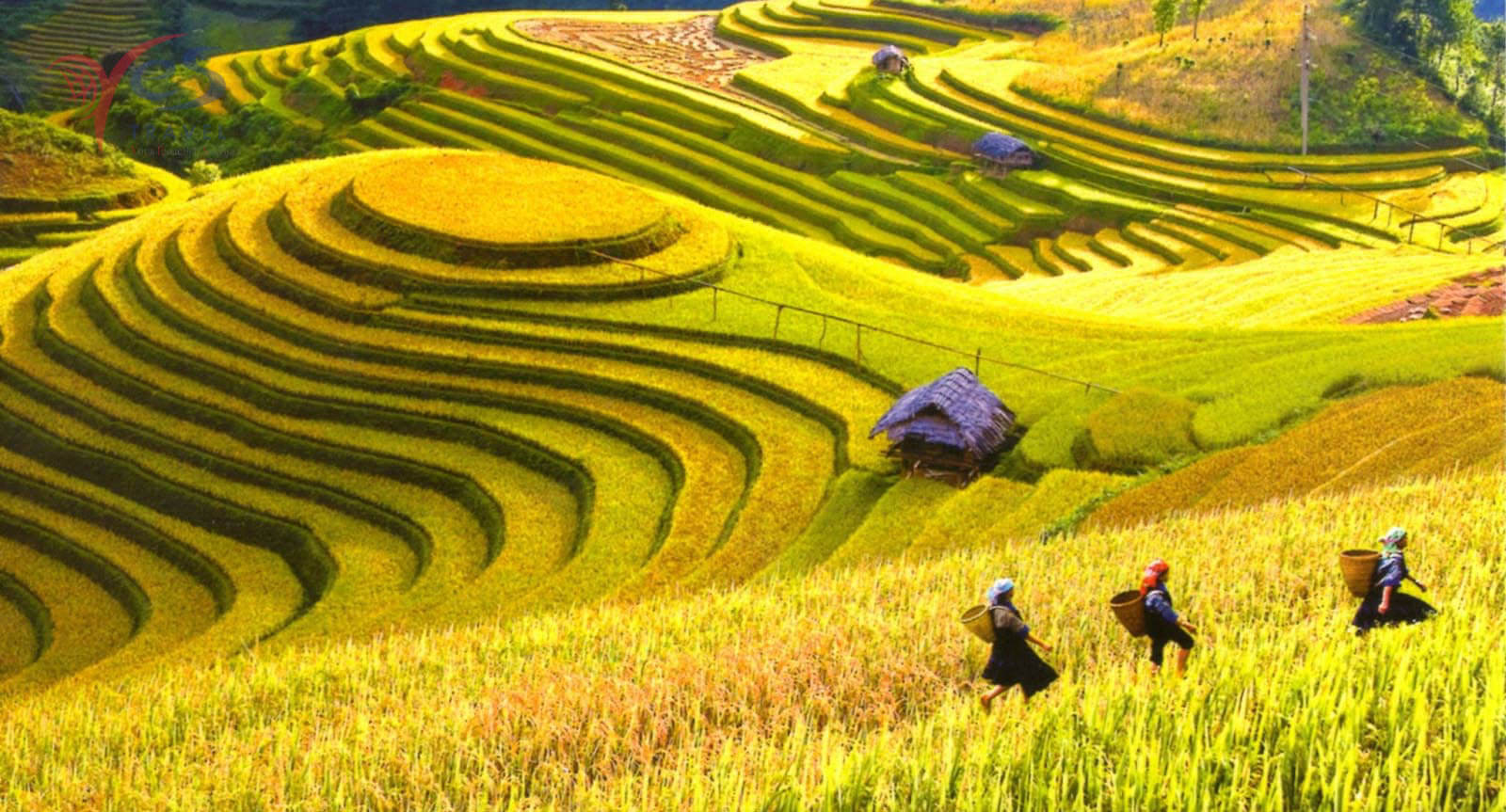 Vietnam autumn travel Sapa