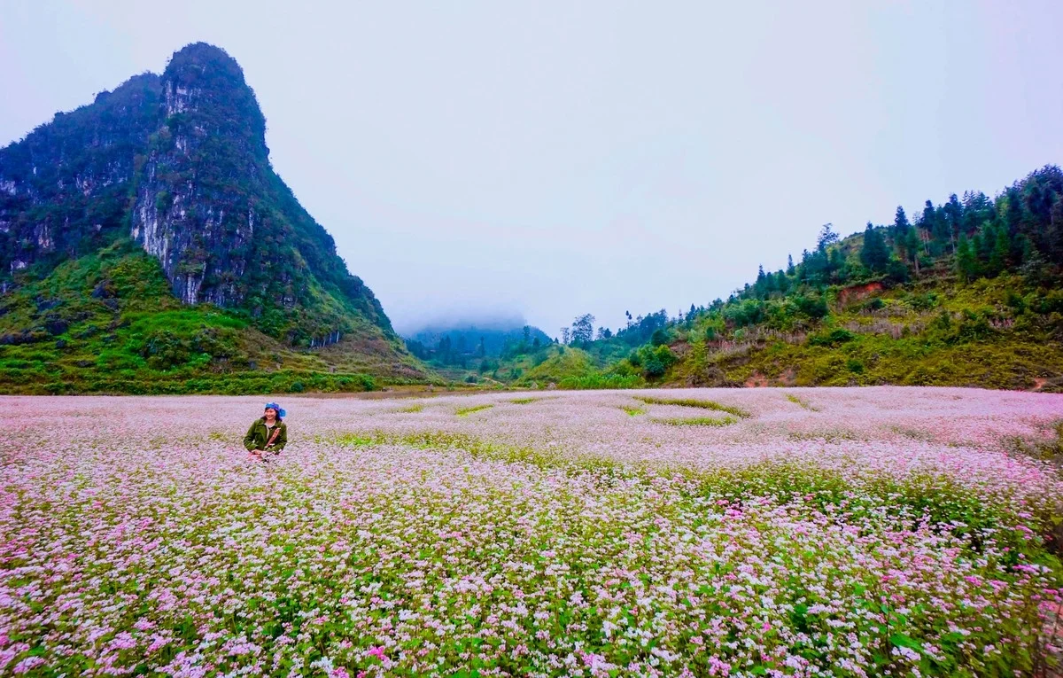 Vietnam autumn travel Ha Giang